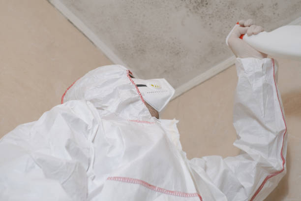 Best Emergency Mold Removal  in Wixom, MI